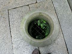 -福建省非物质文化遗产博览苑