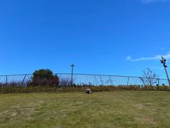 -宁波儿童公园(鄞州区)