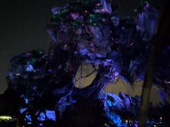 -奥兰多迪士尼动物王国乐园