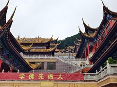 -东莞市大岭山森林公园