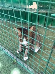 -萌宠亲子动物乐园(槐房万达店)