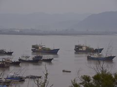 -北岐滩涂