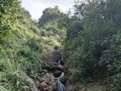 -南海湾森林生态园