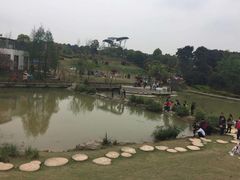 -铁山坪森林公园