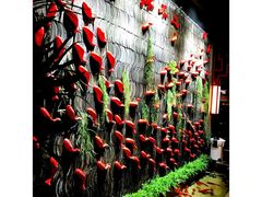 -辣不二地道川菜(汉水路店)