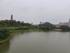 -顺峰山公园