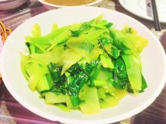 -壹盏灯(惠农店)
