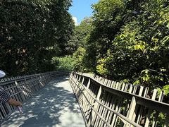 -福道