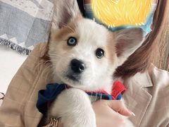 -平行世界·猫咖(首经贸店)