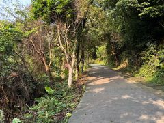 -梧桐山风景名胜区