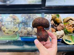 -野菌王•养生汤锅•野生菌火锅(大理漾濞路店)