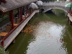 -龙潭水乡