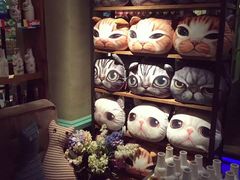 -猫咪博物馆(顶澳仔猫街店)
