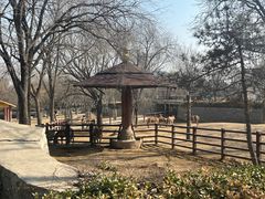 -石家庄市动物园