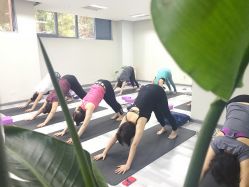 -榕树上·瑜伽普拉提