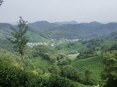 -十里琅珰