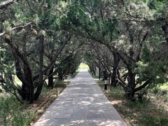 -洛阳古墓博物馆