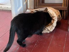 -春风十里咖啡馆