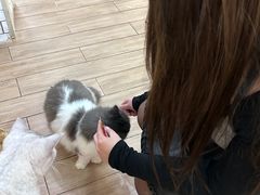 -李小姐の猫咖啡馆(五角场店)