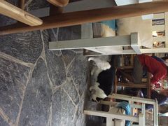 Anne猫窝咖啡屋-Anne猫窝咖啡屋