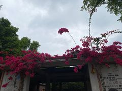 -海兰云天度假区温泉