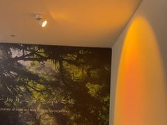 -沐森 •疗愈头疗馆(打浦桥店)