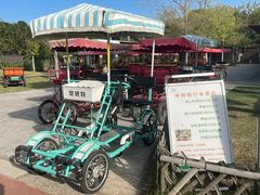 -上海长兴岛郊野公园