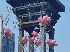 -金宫殿故址