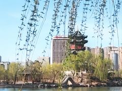 -迎泽公园