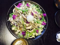 -春草居酒屋·晴子の店