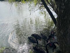 -长兴太湖图影湿地文化园