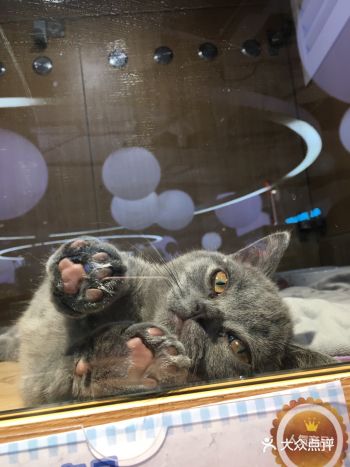 从半年前看到这家开张，到美罗就经常过来逛逛