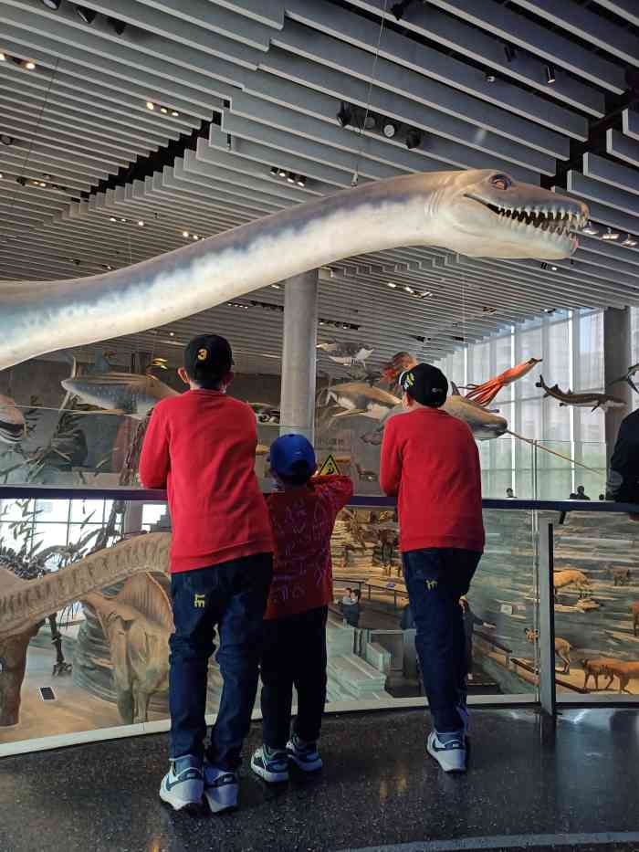 可以来看看网红狮子很多馆的门票在固定时间有人发的也就是限量的要