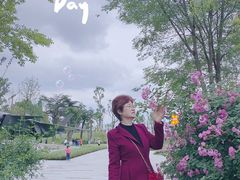 -成飞公园