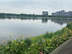 -眉山湿地公园(东坡区)