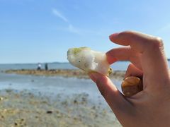 -银滩滨海旅游度假区