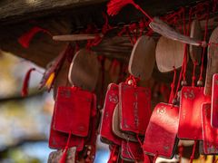-光雾山旅游景区