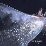 治愈色的人物场景插画，以柔和色调捕捉世界的美