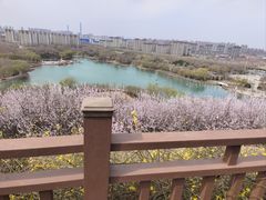 -河北省园博园