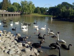 -上海动物园(地铁站)