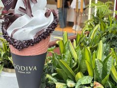 -GODIVA(海岸城店)