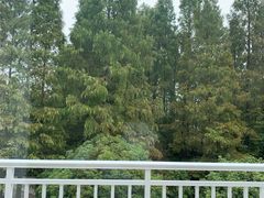 -上海怡沁园度假酒店