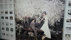 点击看大图 android_upload_pic-艺匠摄影ARTIZ STUDIO(南京店)