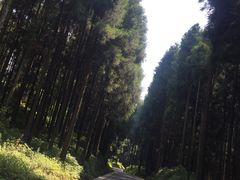 -山王坪喀斯特国家生态公园