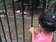 -石家庄市动物园