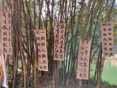 -靖西鹅泉风景区
