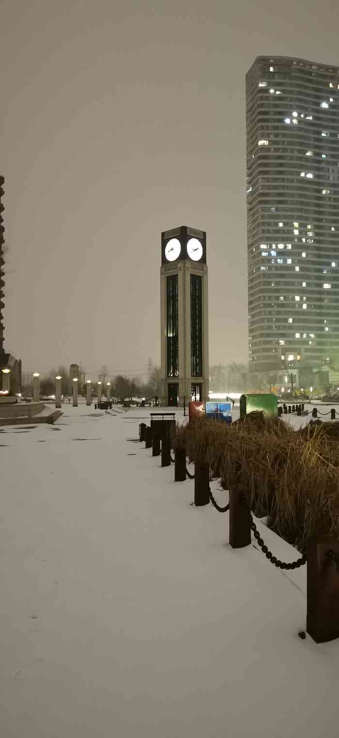 打分 沈阳昨天夜晚又下雪了,赶紧下楼看看雪景哈哈