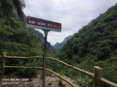 -青峰峡国家森林公园