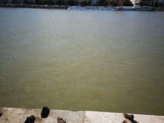 -多瑙河畔鞋履雕塑