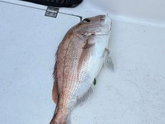 -王家味 - Wángjiā wèi